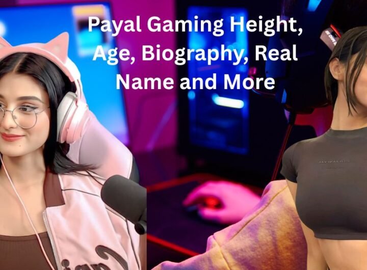 Payal Gaming Height